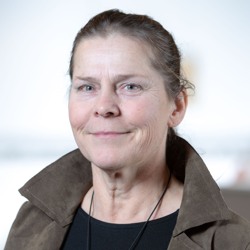 Porträttbild av Karin Hedberg, ledamot i Gavlegårdarnas styrelse.