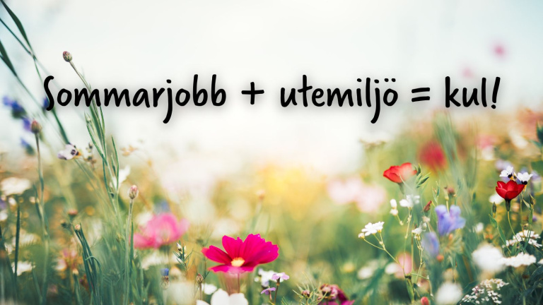 Sommarjobb + utemiljö = kul!