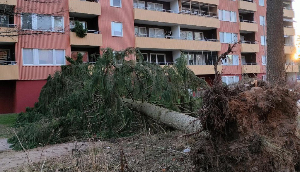 Efter stormen Johannes –  Fortfarande risk för fallande träd
