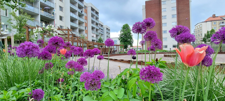 Sommardrift 15 juni till 7 augusti